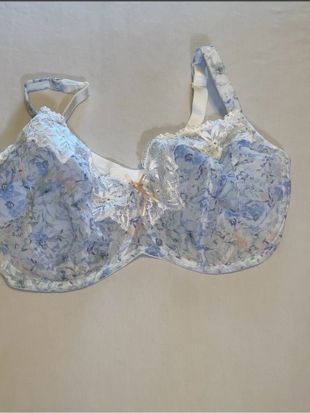 bras N things White/Blue Floral Sheer Mesh Underwired Unlined
Hook & Eye Bra 42H